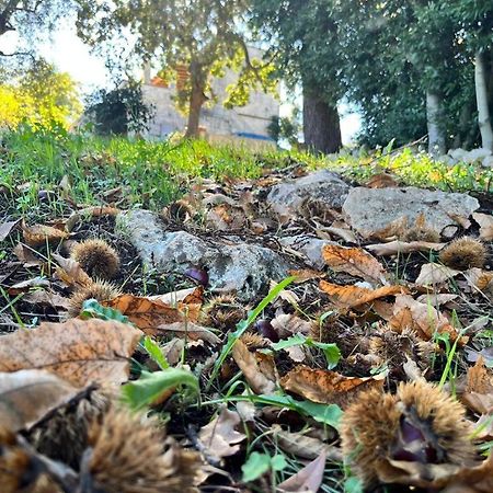 Il Trullo E Il Fortino Daire Alberobello Dış mekan fotoğraf