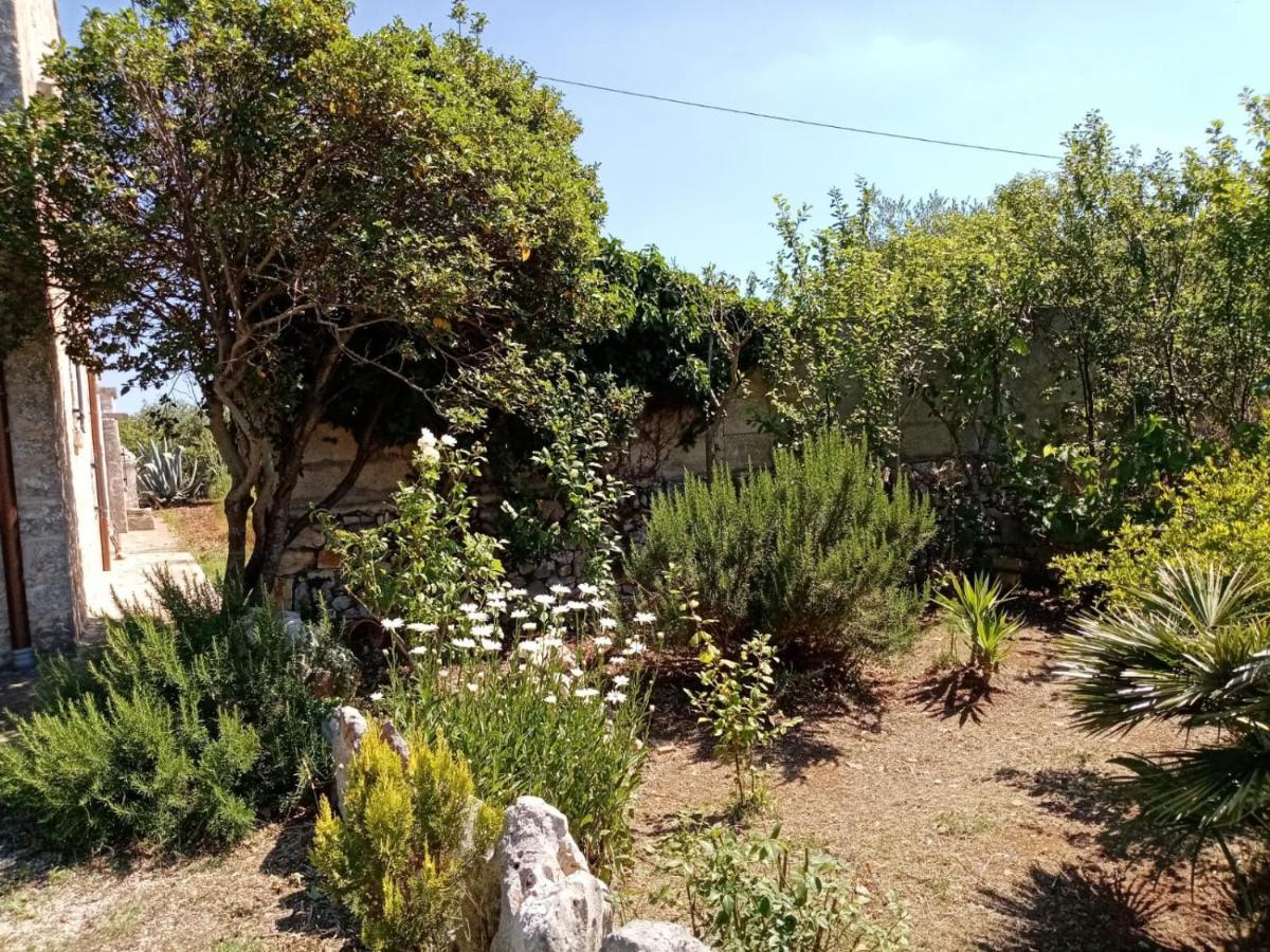 Il Trullo E Il Fortino Daire Alberobello Dış mekan fotoğraf