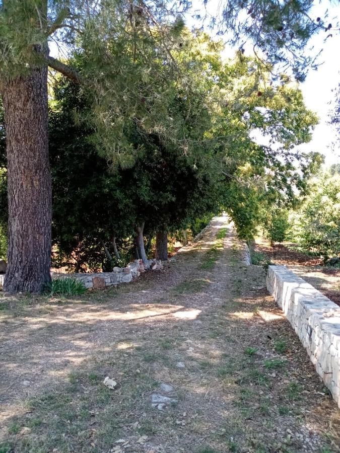 Il Trullo E Il Fortino Daire Alberobello Dış mekan fotoğraf