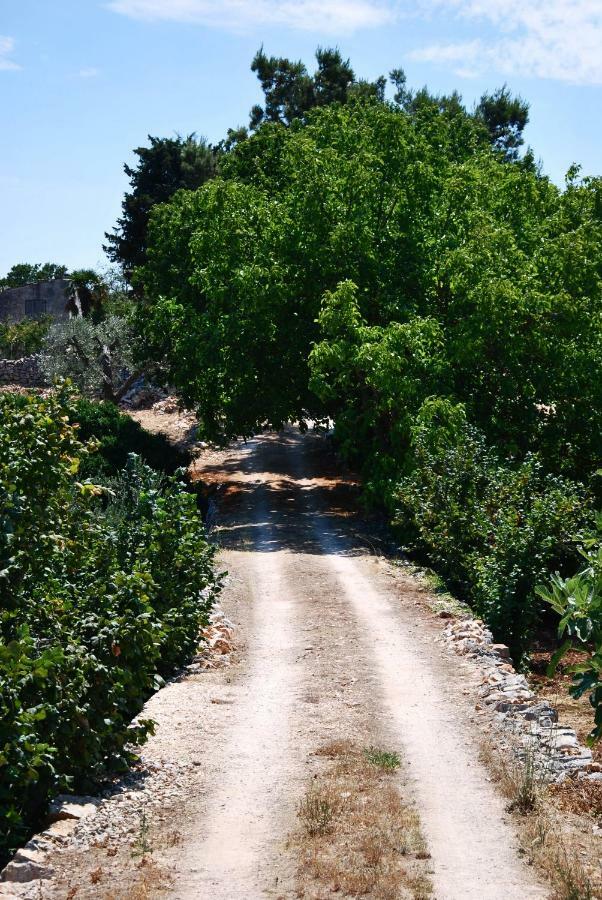 Il Trullo E Il Fortino Daire Alberobello Dış mekan fotoğraf